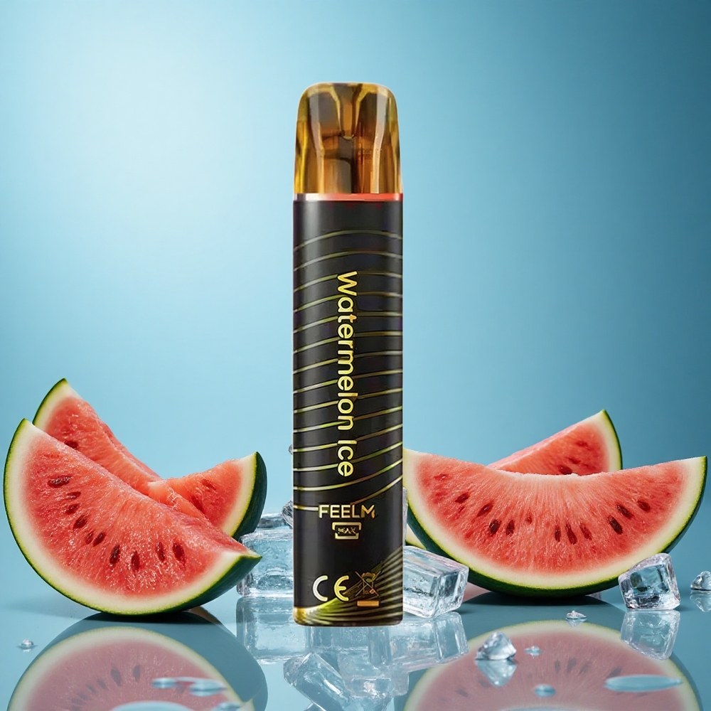 JNR Black&Golden 600+200 Puffs Vodní meloun Ice Czech Republic vape