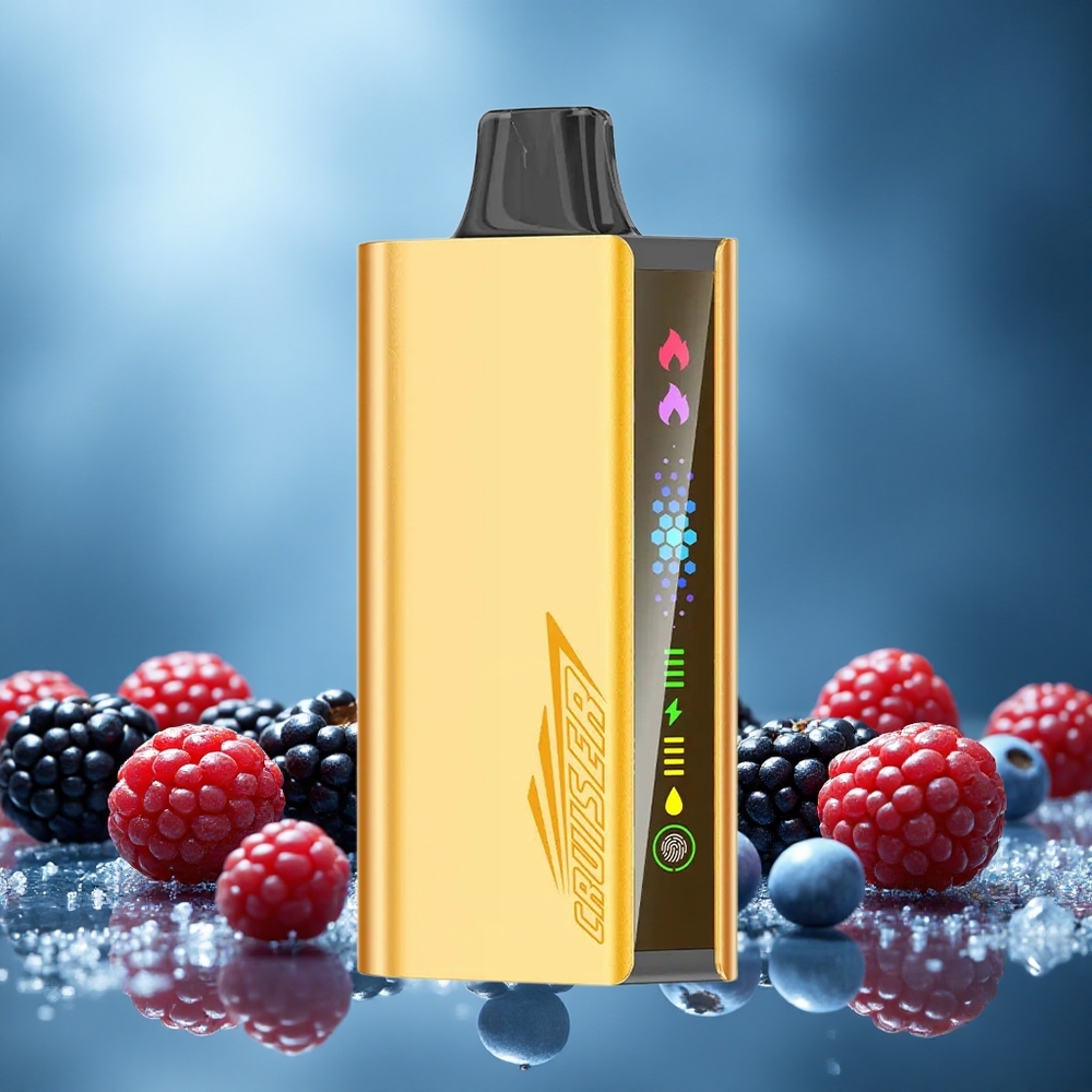 JNR Cruiser 12000 Puffs Blackberry Ice (25ml Kapalina) Czech Republic vape