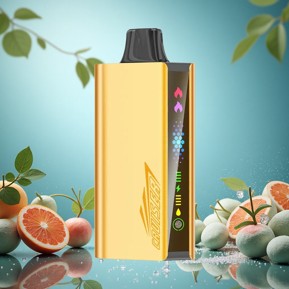 JNR Cruiser 12000 Puffs Chladivá Máta No-Charge Jednorázová Vape Czech Republic vape