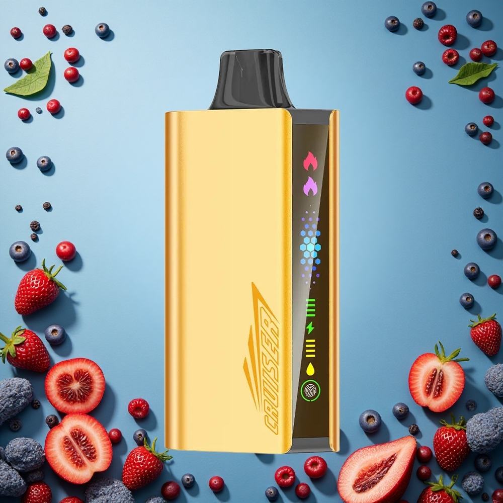 JNR Cruiser 12000 Puffs Směs Bobulí Bez Nabíjení 3500 mAh Czech Republic vape