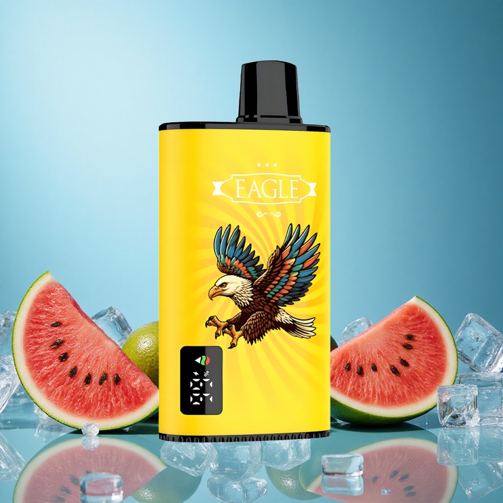 JNR EAGLE Smart 23000 Puffs Kiwi Meloun Led 1.0ohm Síťkové Cívky Adjustable Airflow Czech Republic vape