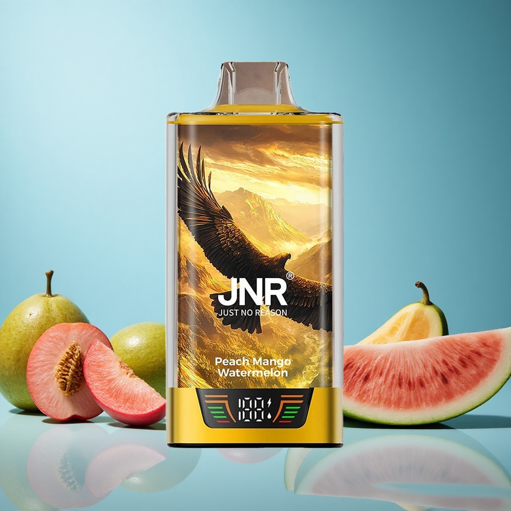 JNR Falcon Pro 28000 Jednorázová Vape Broskev Mango Meloun 30ml předplněná kapacita Czech Republic vape