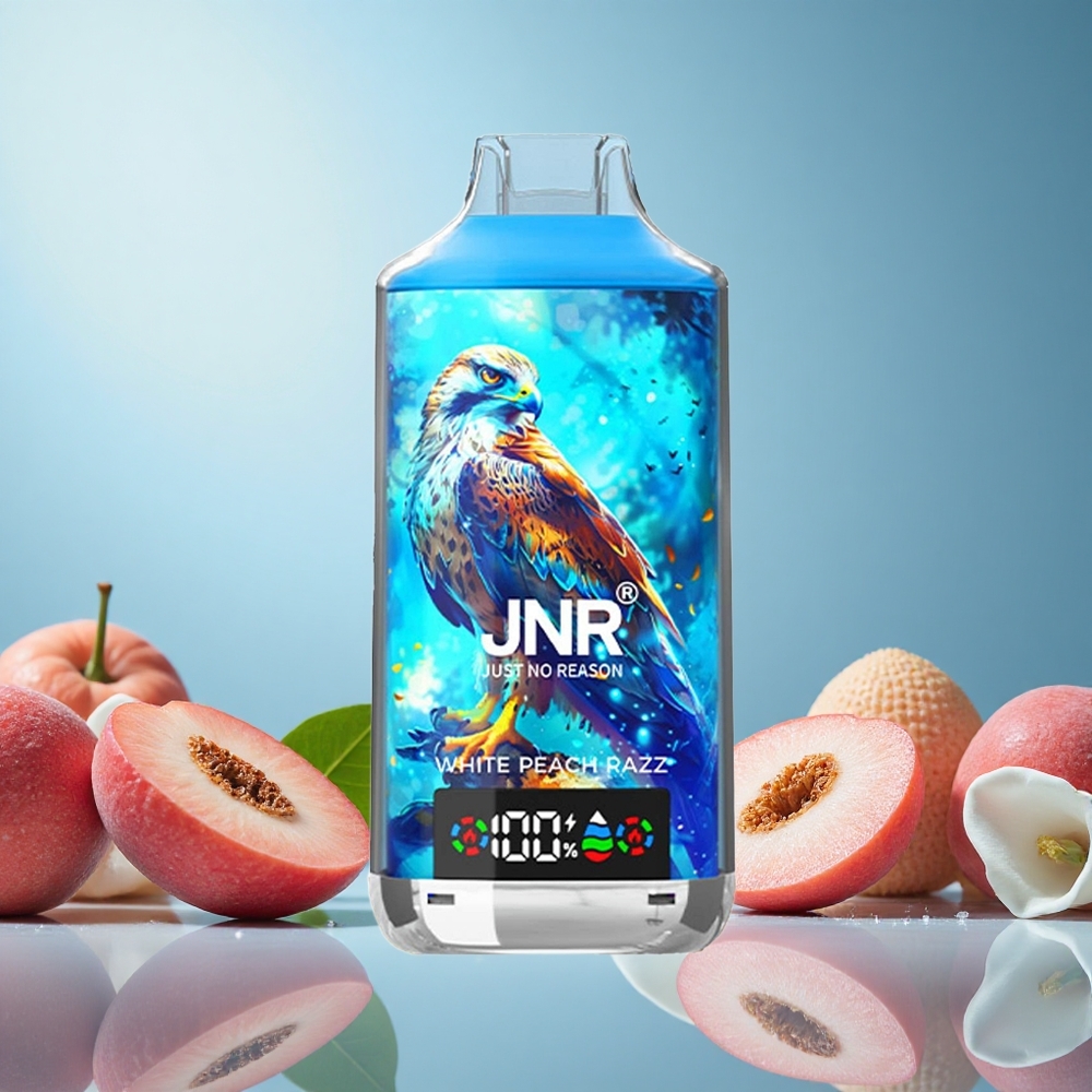 JNR Falcon X 18000 Puffs Bílá broskev & malina 750mAh Czech Republic vape