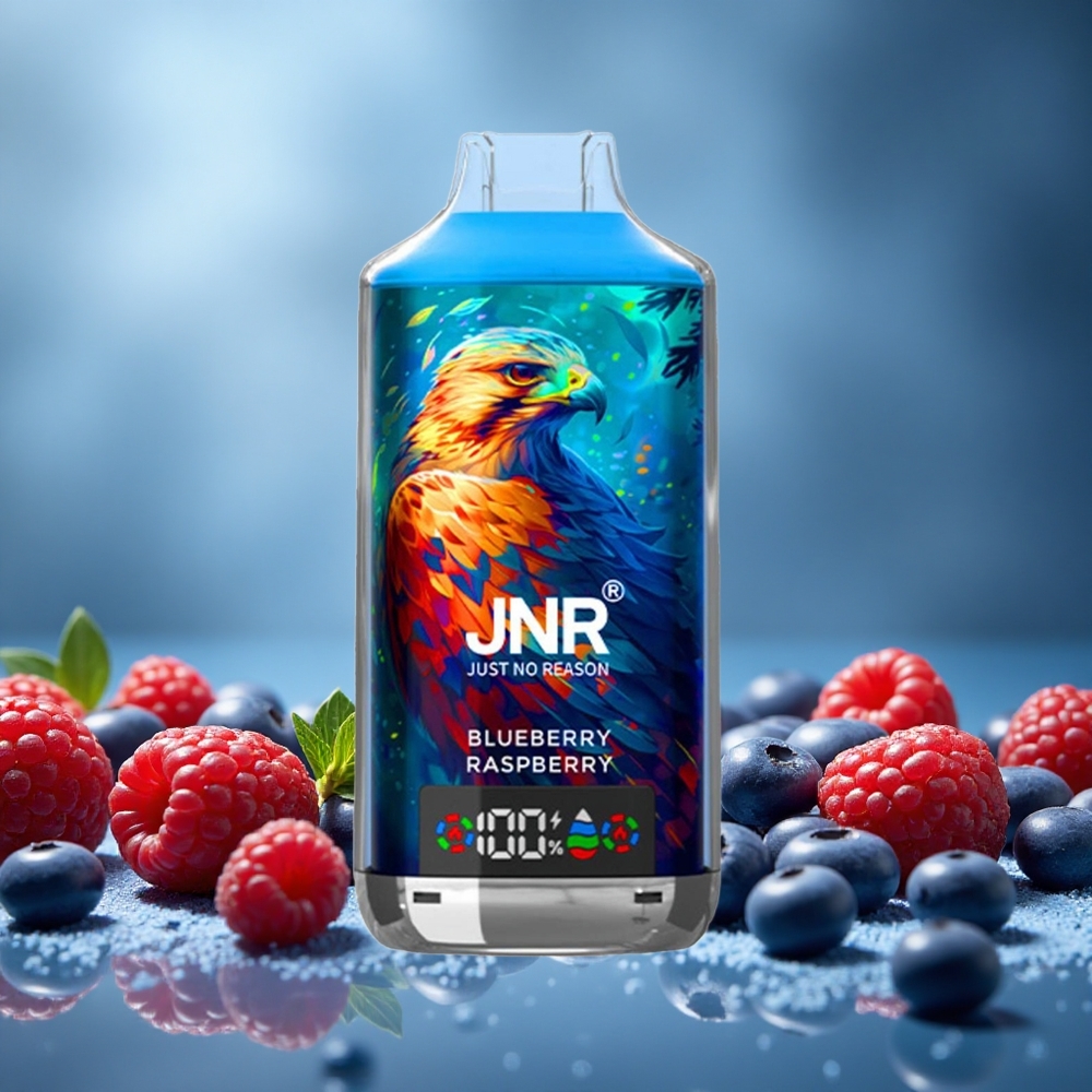 JNR Falcon X 18000 Puffs Borůvka Malina Dual Mesh Coil Czech Republic vape