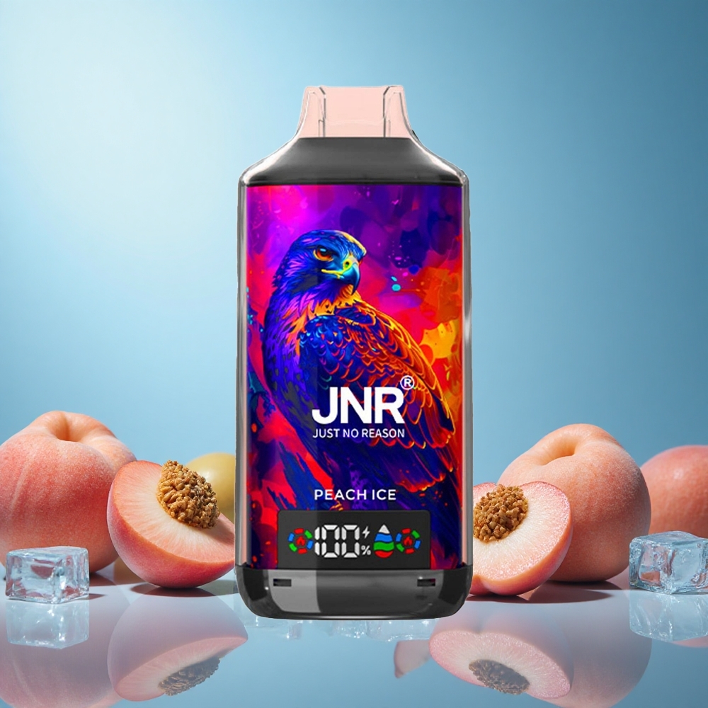 JNR Falcon X 18000 Puffs Broskvový Led 24ml Dual Mesh Coil Czech Republic vape