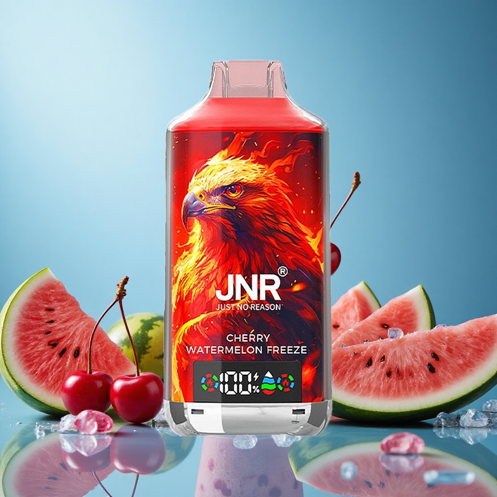 JNR Falcon X 18000 Puffs Cherry Watermelon Freeze 24ml Dual Mesh Coil Czech Republic vape
