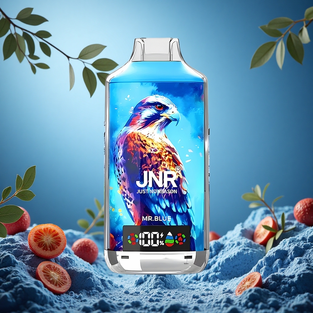 JNR Falcon X 18000 Puffs Mr. Modrý Czech Republic vape s 24ml náplní a 750mAh baterií