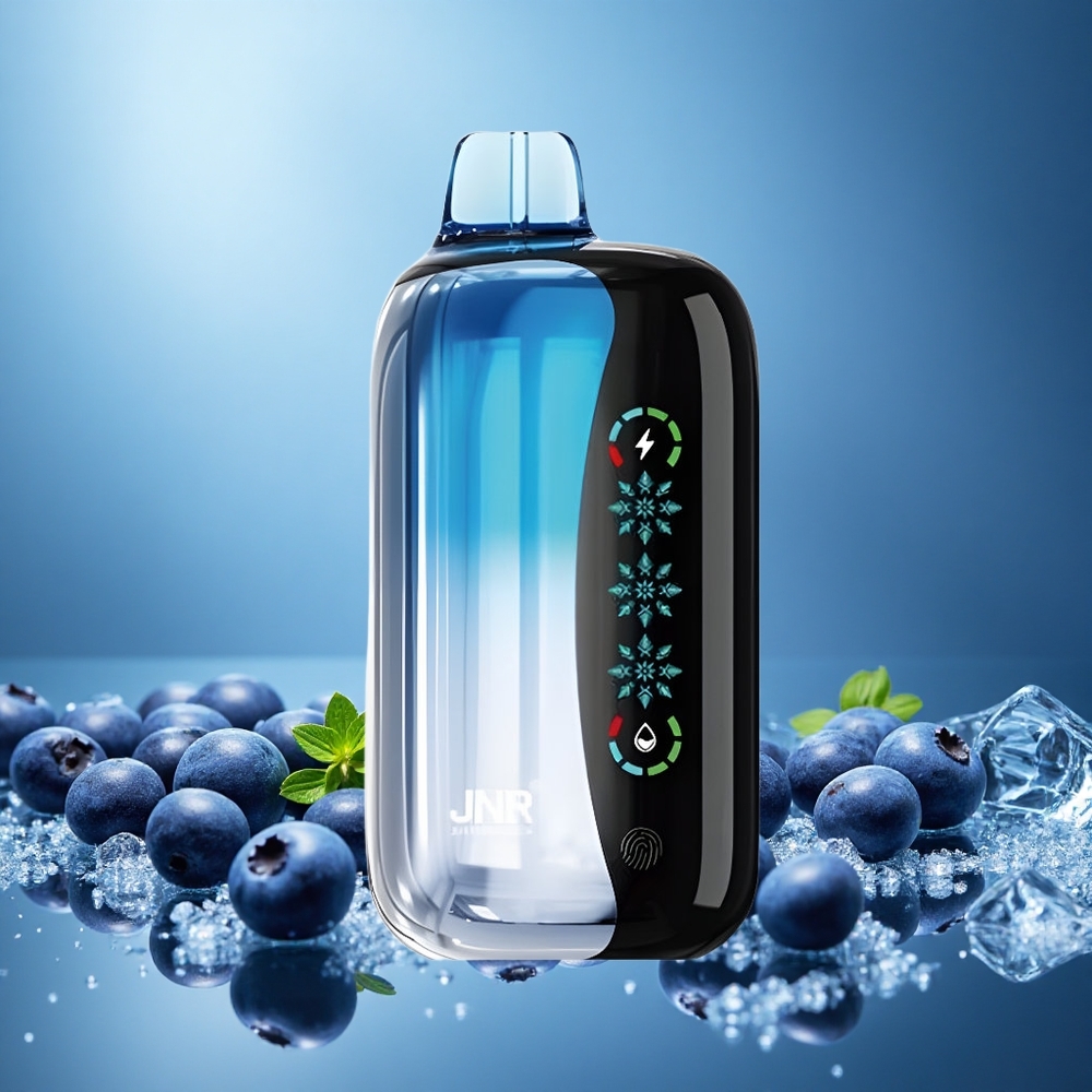 JNR Flex Ice 21000 Puffs Jednorázová Vape Borůvkové Ice s nastavitelným Ice a 26ml e-liquid Czech Republic vape