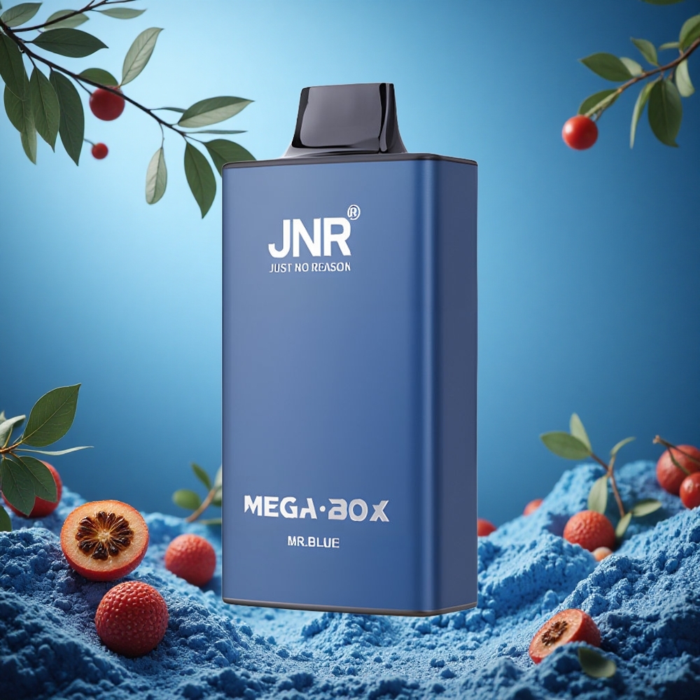 JNR Mega Box 25000 Puffs Jednorázová Vape Mr Blue (Modrý) 30ml Kapacita E-liquid Czech Republic vape