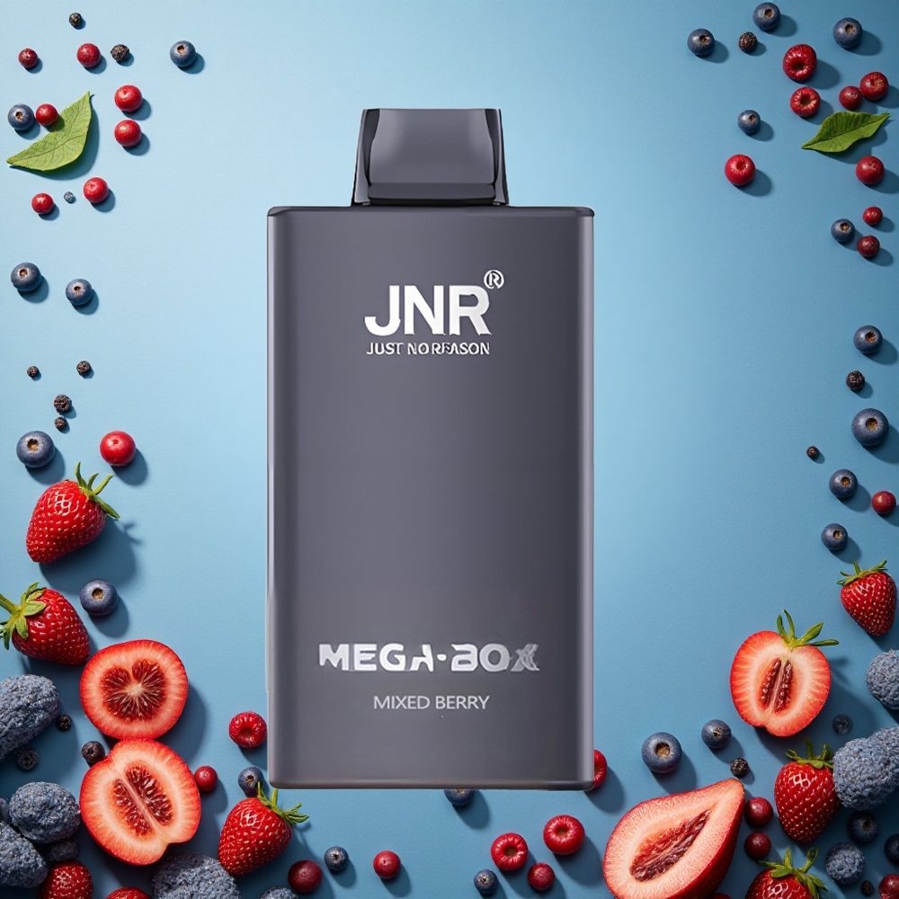 JNR Mega Box 25000 Puffs Jednorázová Vape Směs lesního ovoce 30ml Czech Republic vape