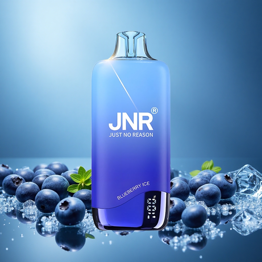 JNR Rainbow 10500 Puffs Jednorázová Vape Borůvka Ledová s 18ml náplní a USB Type-C Czech Republic vape