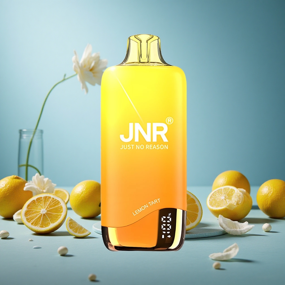 JNR Rainbow 10500 Puffs Jednorázová Vape Citronový Koláč s 18ml e-Liquid Tank Czech Republic vape