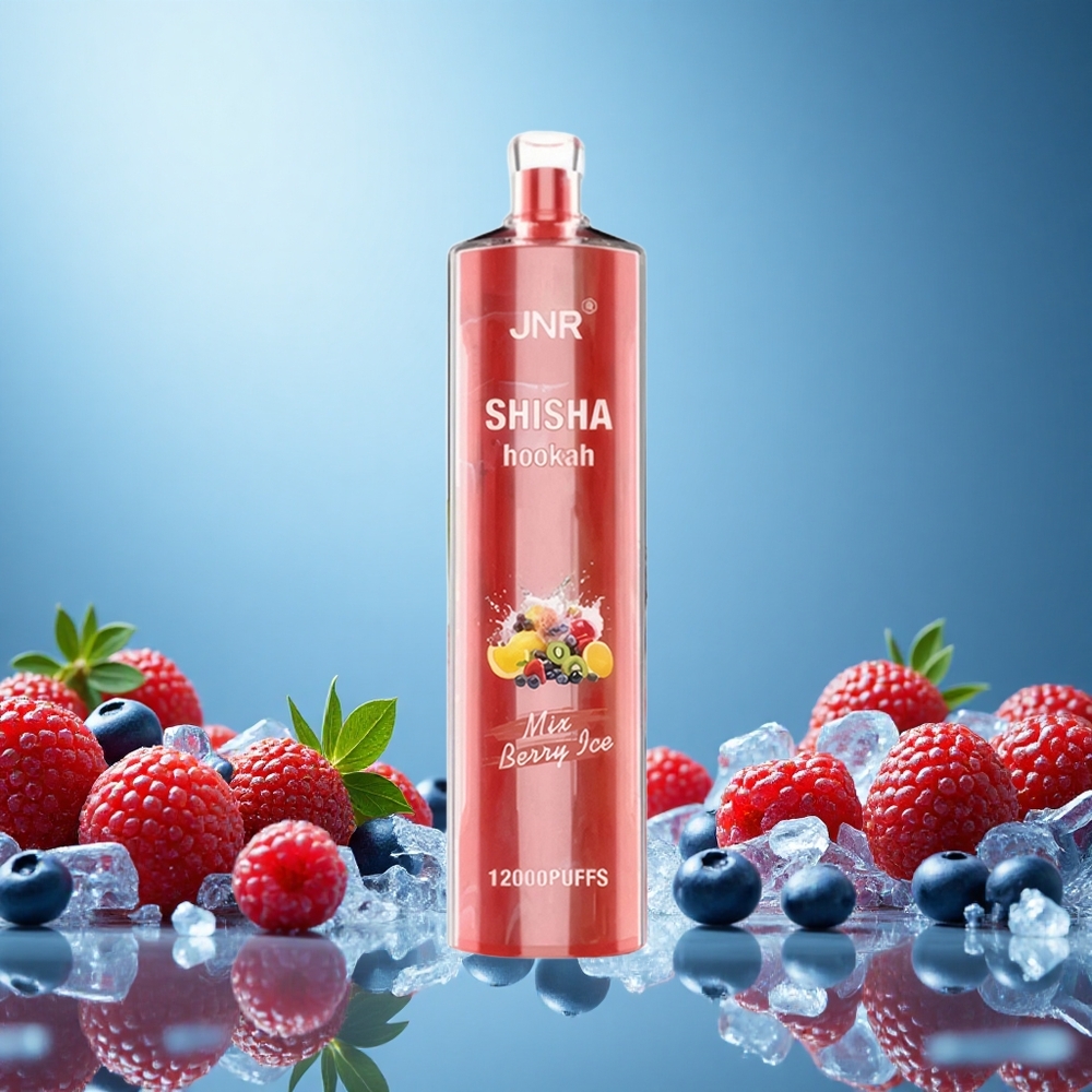 JNR Shisha Hookah 12000 Puffs Berry Ice 24ml Czech Republic vape