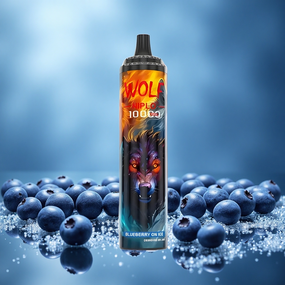 JNR Wolf Niplo 10000 Puffs Borůvka Ledově Czech Republic vape s rychlým dobíjením Type-C