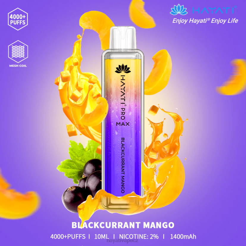 Hayati Pro Max jednorázový černý rybíz mango 6F4V692 Hayati praha